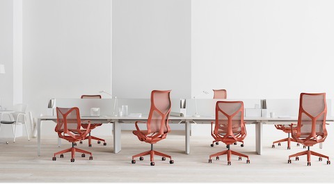 A variety of low-back, mid-back, and high-back Cosm Chairs in Canyon red at a series of bench workstations with personal lighting and privacy screens.